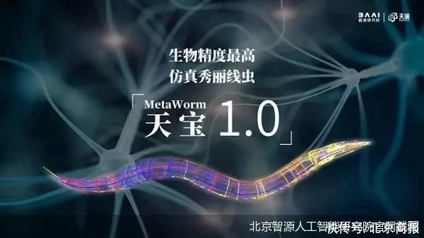 Education AI Technology Education AI Technology